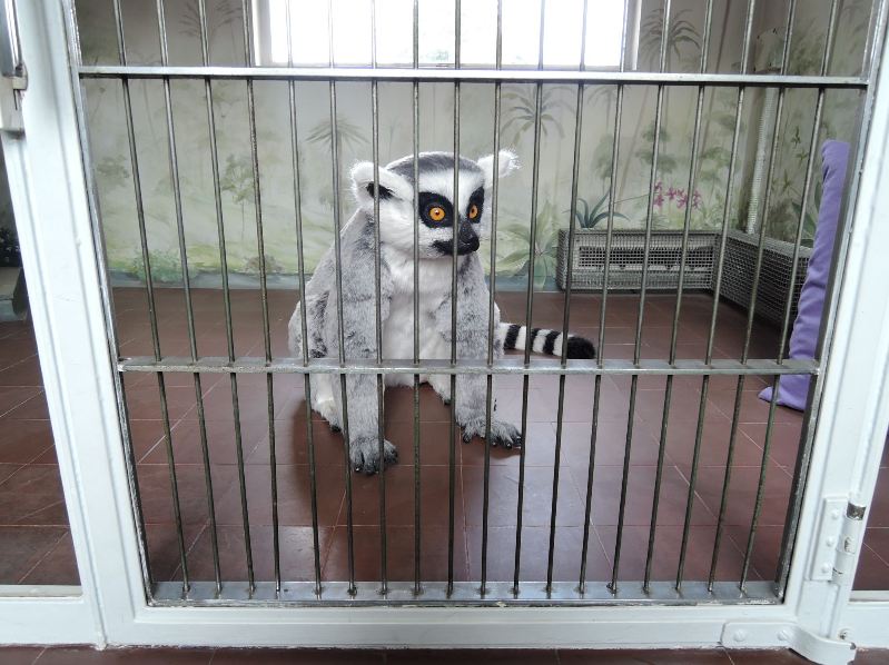 Eltham Palace - Mah Jonggs Quarters