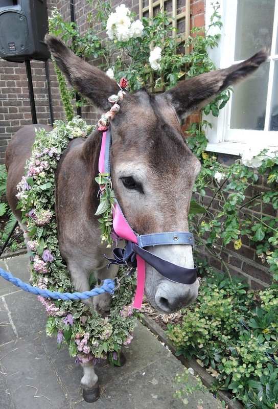 Museum of the Order of St John Priory Gardens