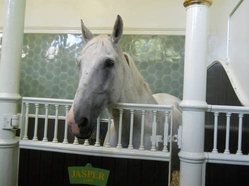 Royal Mews: Stables
