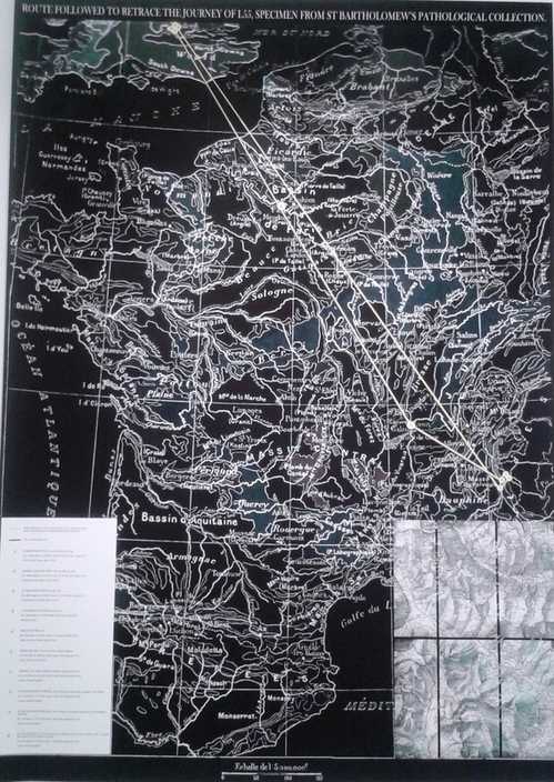 GV Art - 1.55 by Ana&iuml;s Tondeur