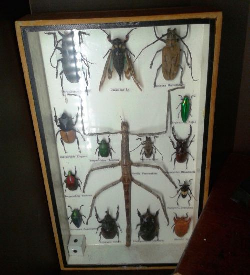 John Lewis - Stories of a Shopkeeper