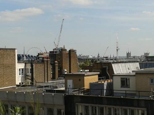 John Lewis - Roof Garden