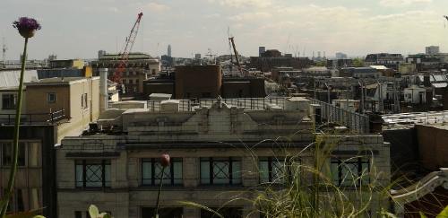 John Lewis - Roof Garden