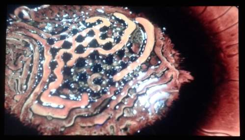 Future Human at GV Art - Fe Labyrinthine by William Skelton and Robbie Anso