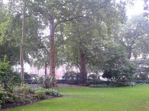 Portman Square Gardens