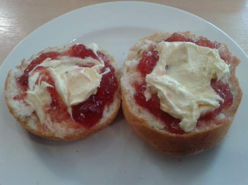Scones at Torquay Musuem