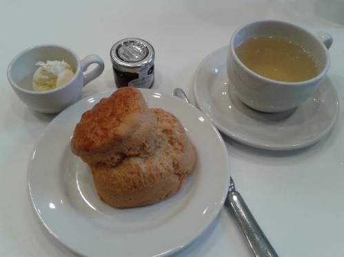 Scones at Wellcome Collection